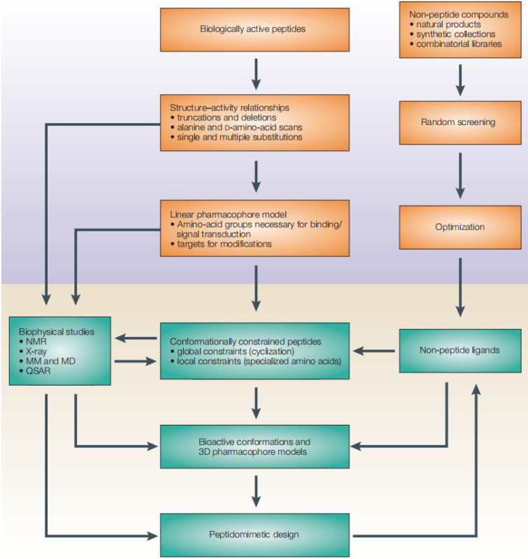 Designing Peptide Receptor Agonists and Antagonists