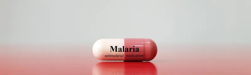 Generic Drug for Malarone