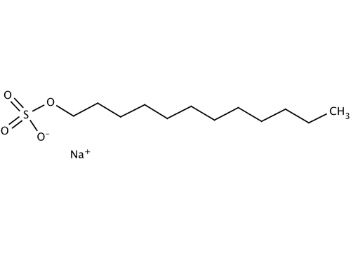 15171947__09215.png