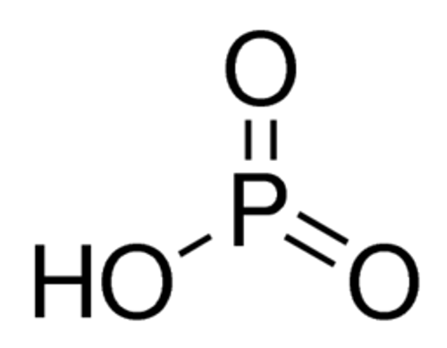 mfcd00011351-medium_1__26931.png